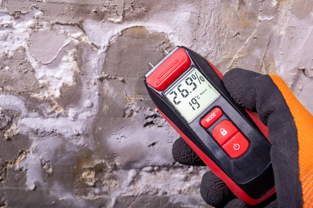 Best Post-Flood Mold Remediation in Center Point, TX